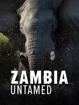 狂野赞比亚 第一季 Zambia Untamed Season 1