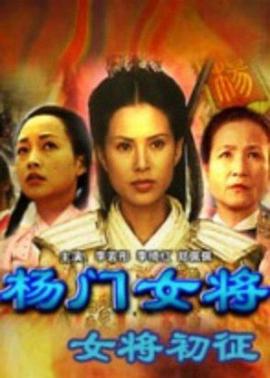 杨门女将之女将初征2001海报剧照