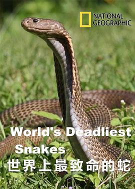 世界上最致命的蛇海报剧照